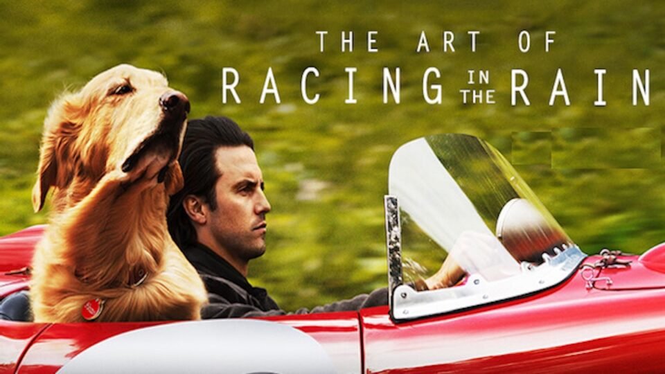 Ron Jacobsohn Reviews The Art of Racing in the Rain
